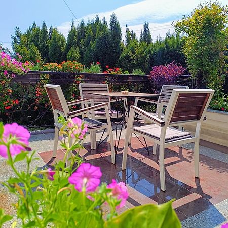Vila Sentic Враня Екстериор снимка