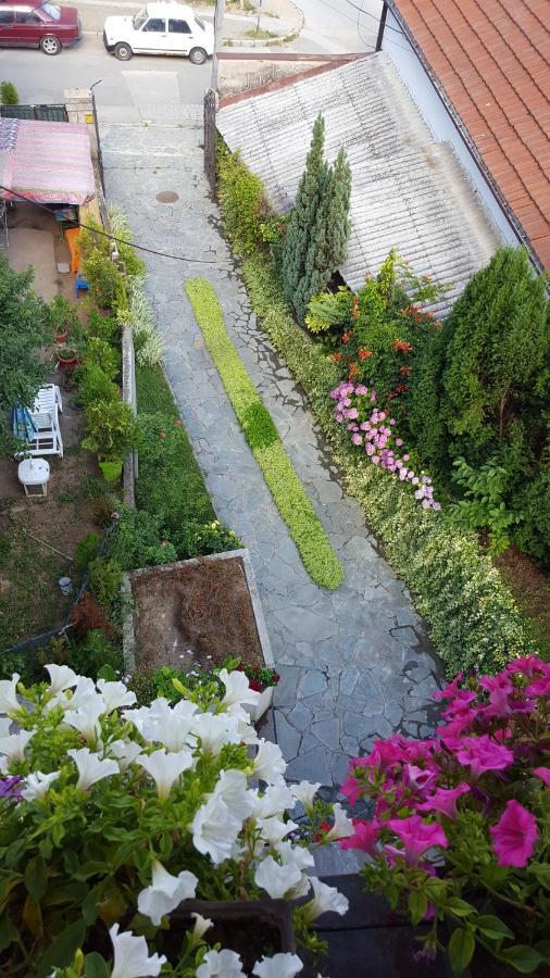 Vila Sentic Враня Екстериор снимка