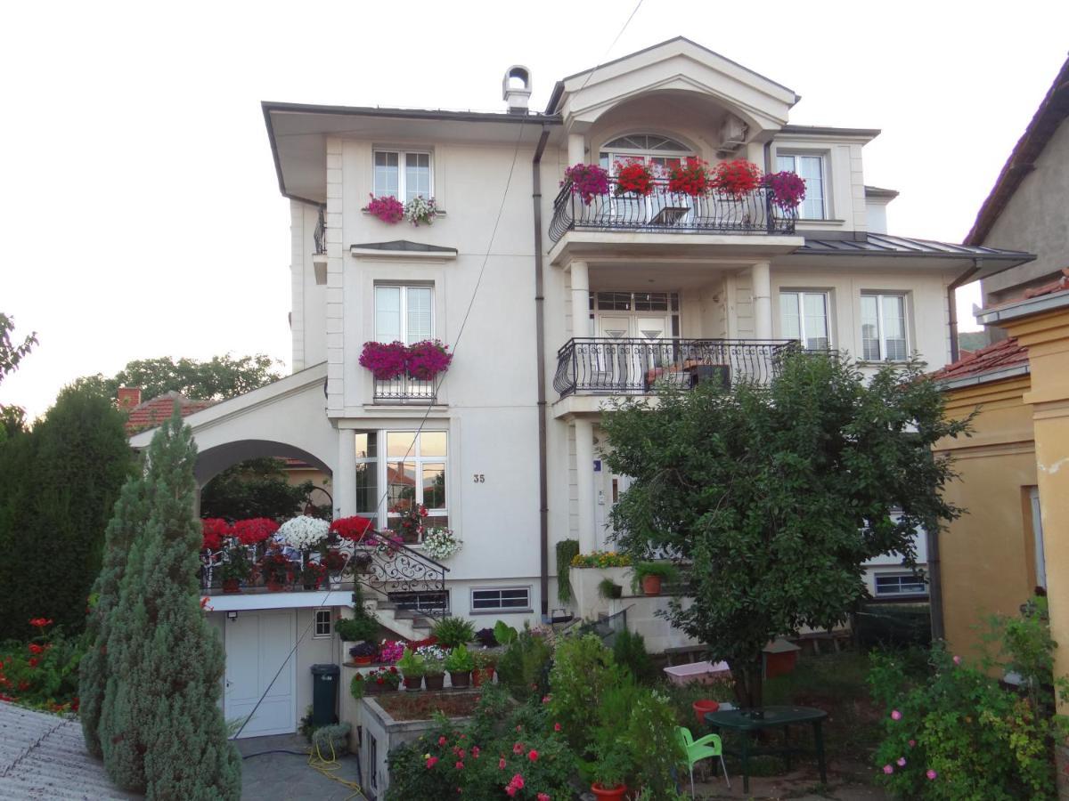 Vila Sentic Враня Екстериор снимка