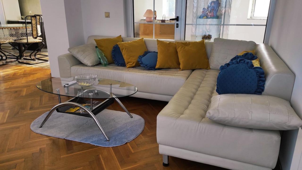 Vila Sentic Враня Екстериор снимка