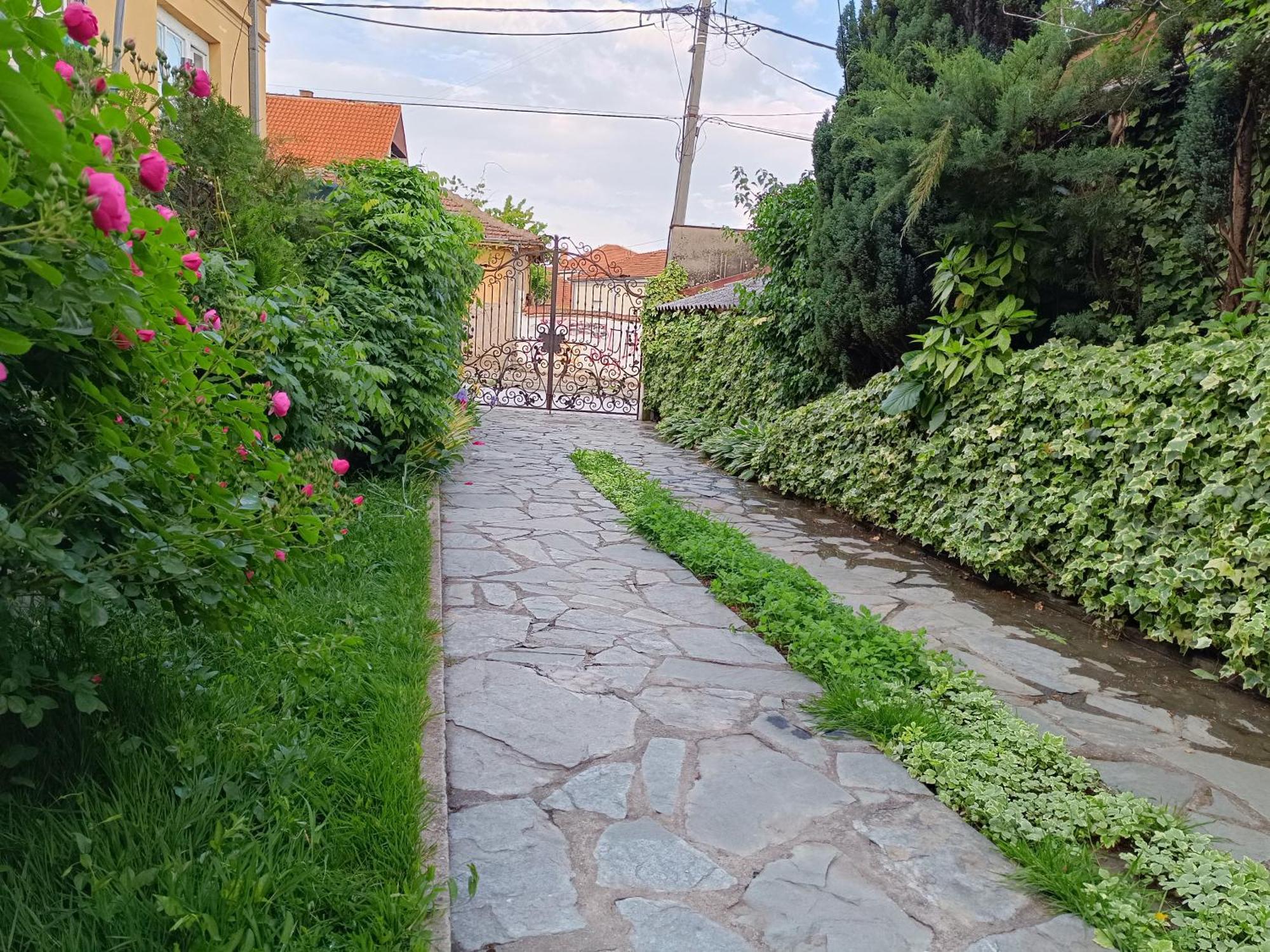 Vila Sentic Враня Екстериор снимка