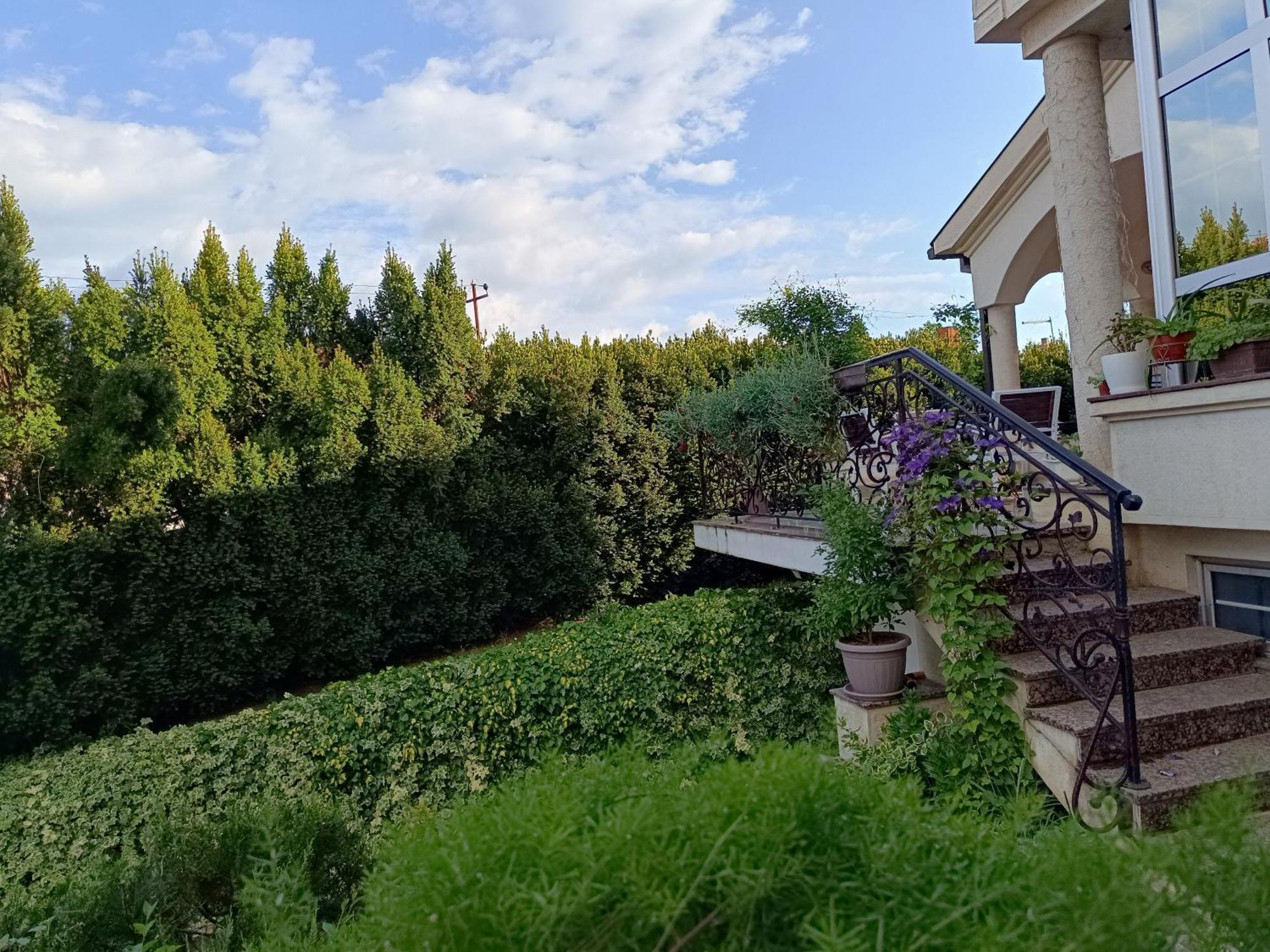 Vila Sentic Враня Екстериор снимка