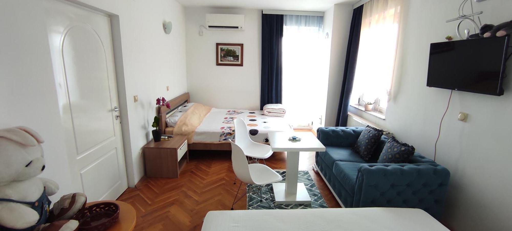 Vila Sentic Враня Стая снимка