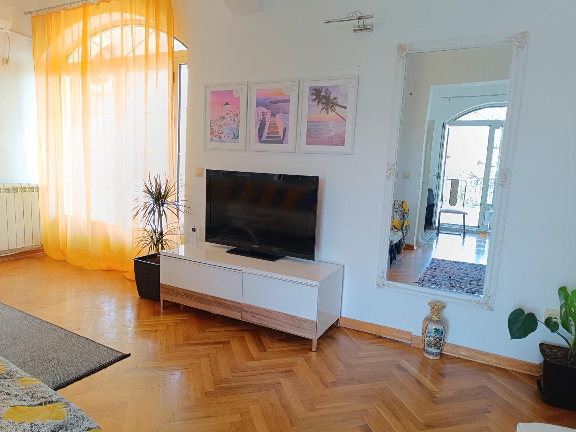 Vila Sentic Враня Стая снимка