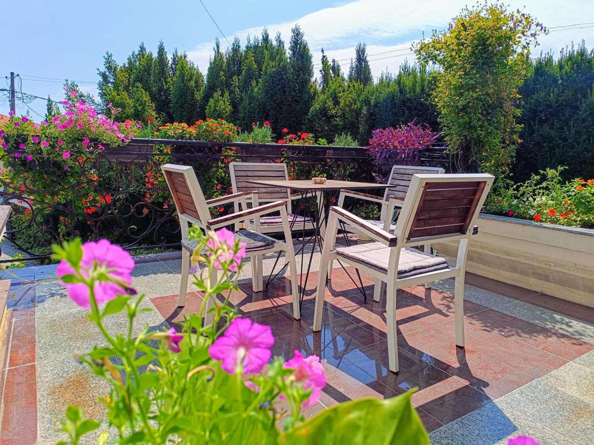 Vila Sentic Враня Екстериор снимка