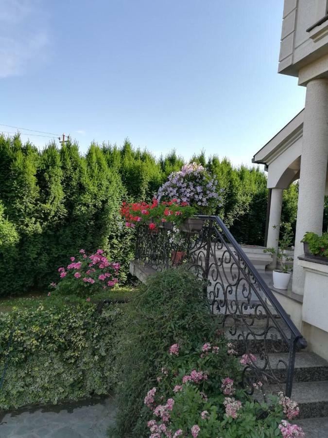 Vila Sentic Враня Екстериор снимка