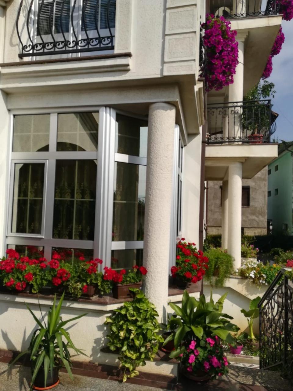Vila Sentic Враня Екстериор снимка
